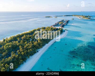 Maldives, atoll de Kaafu, vue aérienne de la verdure sur l'île de Huraa Banque D'Images
