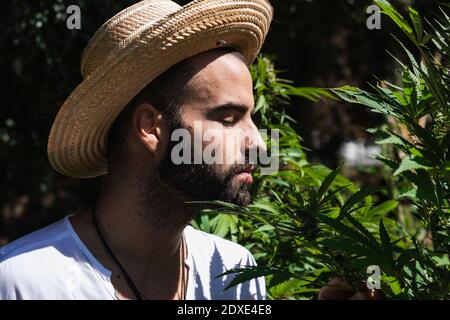 Un jeune agriculteur de sexe masculin sent la marijuana à la ferme sous le soleil jour Banque D'Images