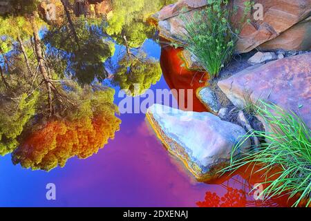 Arbres reflétés dans les eaux rouges du Rio Tinto, colorés par les minéraux dissous, principalement le fer Banque D'Images