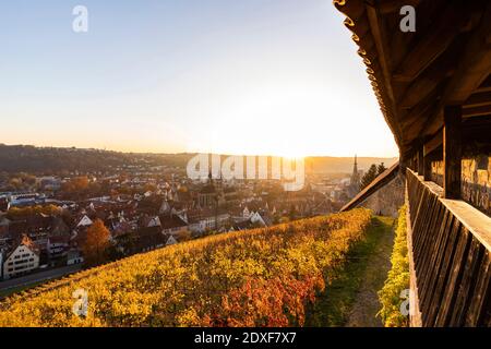 Allemagne, Bade-Wurtemberg, Esslingen, vignobles et ville en automne au coucher du soleil, vue du château Banque D'Images