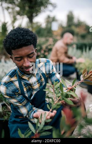 Un jeune agriculteur africain examine une plante au centre du jardin Banque D'Images