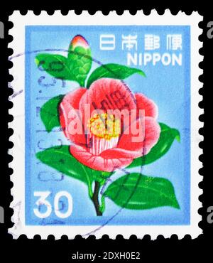 MOSCOU, RUSSIE - 30 MARS 2019 : un timbre imprimé au Japon montre la série de fleurs, de faune, de flore et de patrimoine culturel de Camellia, vers 1980 Banque D'Images