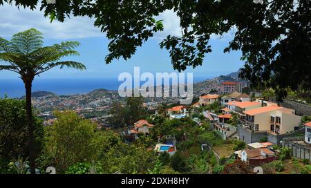 Vue depuis les jardins du Monte Palace en direction de Madère Funchal Banque D'Images