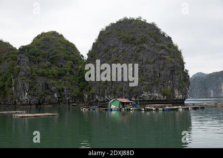 Maisons flottantes à Ha long Bay Banque D'Images