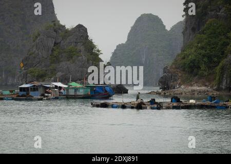 Maisons flottantes à Ha long Bay Banque D'Images