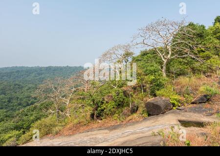 Paysage en automne du parc national de Sanjay Gandhi, Mumbai, Inde Banque D'Images