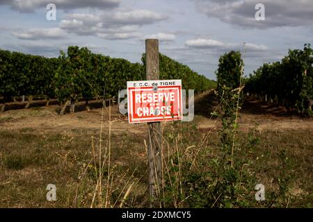 La vie quotidienne à Anjou, Maine-et-Loire. Vie quotidienne en Anjou, Maine-et-Loire. Banque D'Images