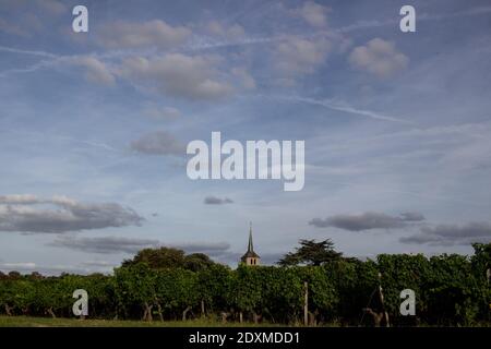 La vie quotidienne à Anjou, Maine-et-Loire. Vie quotidienne en Anjou, Maine-et-Loire. Banque D'Images