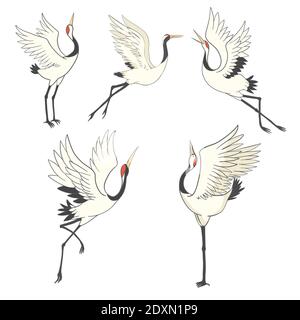 Ensemble d'oiseaux de grue. Illustration sur fond blanc Illustration de Vecteur