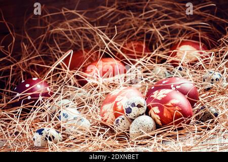 Oeufs de Pâques, peaux d'oignons bouillies teints avec un motif d'herbes et des oeufs de caille dans le foin sur le vieux fond en bois dans le style rustique, foyer sélectif Banque D'Images