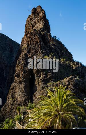 Formation de roche et palmier à la fin du village de Masca, Tenerife, Iles Canaries, Espagne Banque D'Images