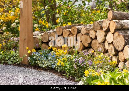 RHS Flower Show Cardiff 2014 Médaille d'or et Best In Voir Woodland Garden Banque D'Images