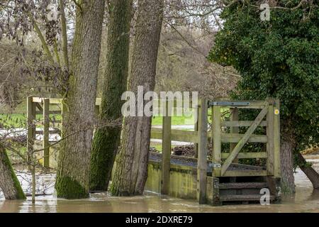 Ware, Angleterre. 24 décembre 2020 en photo : les champs du domaine de Youngsbury à Thundridge, près de Ware, sont inondés alors que la Rib brise ses berges après une forte pluie pendant la nuit. Crédit : Rich Dyson/Alay Live News Banque D'Images