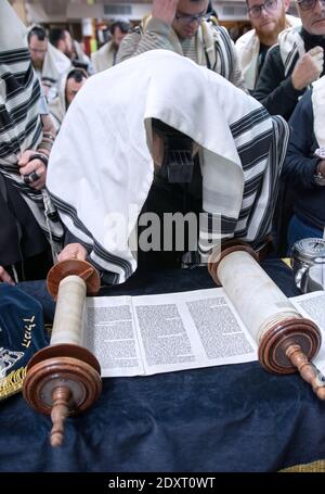 Un rabbin hassidique caché sous son châle de prière lit de la Torah à un service de matin en semaine dans une synagogue de Crown Heights, Brooklyn, New York ci. Banque D'Images