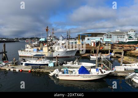 Bateau de pêche au port de Gloucester City, Gloucester, Massachusetts, États-Unis. Banque D'Images