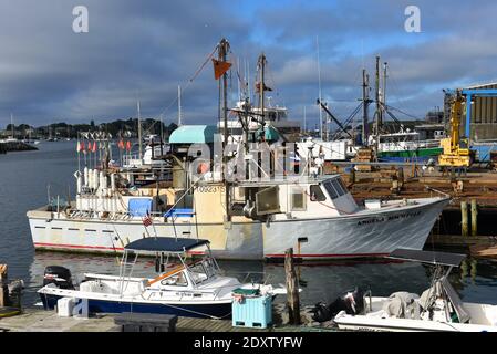 Bateau de pêche au port de Gloucester City, Gloucester, Massachusetts, États-Unis. Banque D'Images