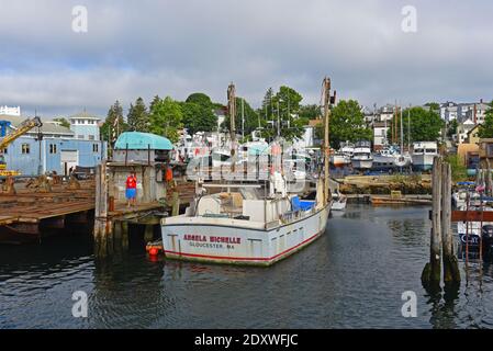 Bateau de pêche au port de Gloucester City, Gloucester, Massachusetts, États-Unis. Banque D'Images