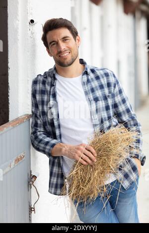 homme adulte travailleur agricole nourrissant des vaches avec du foin dans le hangar Banque D'Images