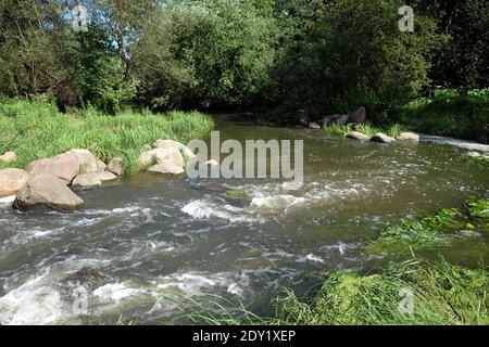 Paysage avec petite rivière court au-dessus des pierres et se cache dans l'épaissie de la forêt décidue en clair jour d'été ensoleillé Banque D'Images