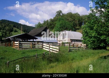 Ranch Barn le long de South Myrtle Creek, Myrtle Creek Canyonville Scenic Historic Tour route, Oregon Banque D'Images