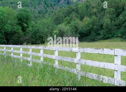 Clôture du ranch blanc, route panoramique historique de Myrtle Creek Canyonville, comté de Douglas, Oregon Banque D'Images