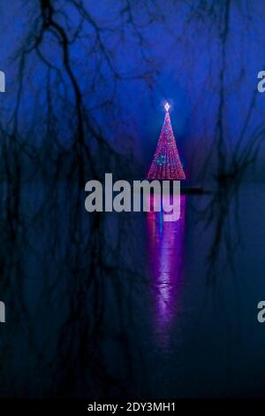 Arbre de Noël, Lost Lagoon, parc Stanley, Vancouver (Colombie-Britannique), Canada Banque D'Images