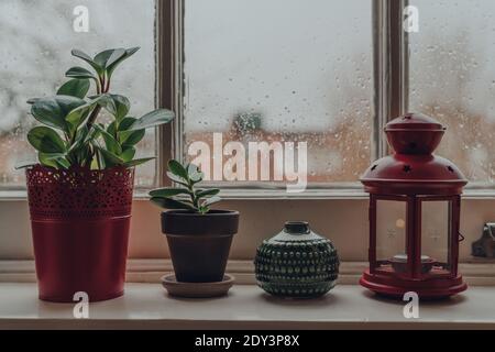 Rangée de plantes en pot et d'articles décoratifs sur un rebord de fenêtre à la maison, foyer peu profond. Banque D'Images