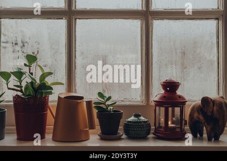 Rangée de plantes en pot, articles décoratifs et arrosoir peut sur un rebord de fenêtre à la maison, foyer peu profond. Banque D'Images