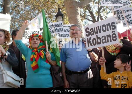 Les manifestants brandisent des signes qui se lisent sur Save Kobane lors d'un rassemblement, le 1er novembre 2014 à Paris, dans le cadre d'une journée internationale organisée pour soutenir les combattants kurdes qui tentent de repousser les militants de l'État islamique (EI) dans la ville frontalière syrienne de Kobane, également connue sous le nom d'Ain al-Arab. Les combats ont fait rage à Kobane, près de la frontière turco-syrienne, après que les jihadistes de l'État islamique ont lancé un nouvel assaut sur les milices kurdes soutenues par l'arrivée des forces peshmerga (kurdes) irakiennes lourdement armées. Photo d'Alain Apaydin/ABACAPRESS.COM Banque D'Images