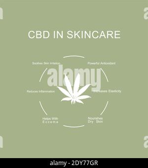 Infographiques propriétés CBD dans le traitement des soins de la peau. Le cannabis dans le traitement des problèmes de peau. Concept d'illustration vectorielle. Illustration de Vecteur