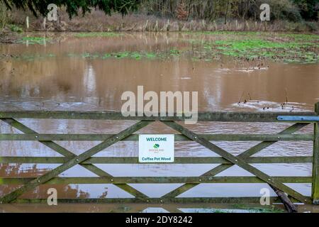 Terres inondées dans le Warwickshire, Angleterre, Royaume-Uni. Banque D'Images