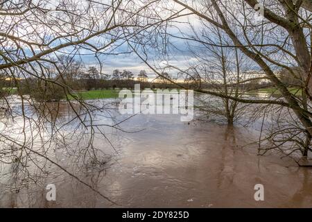 Terres inondées dans le Warwickshire, Angleterre, Royaume-Uni. Banque D'Images