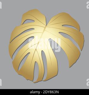 Monstera deliciosa plante feuille de forêt tropicale Illustration de Vecteur