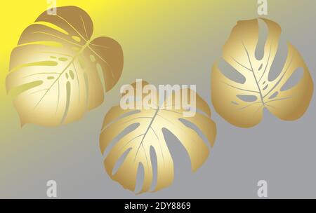 Monstera deliciosa plante feuille de forêt tropicale Illustration de Vecteur