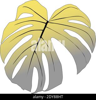Monstera deliciosa plante feuille de forêt tropicale Illustration de Vecteur