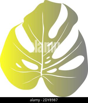 Monstera deliciosa plante feuille de forêt tropicale Illustration de Vecteur