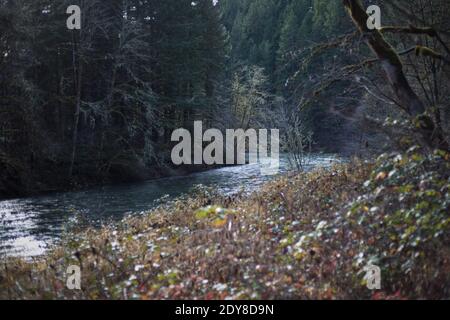 La branche nord de la rivière Willamette à Westfir, Oregon, États-Unis. Banque D'Images