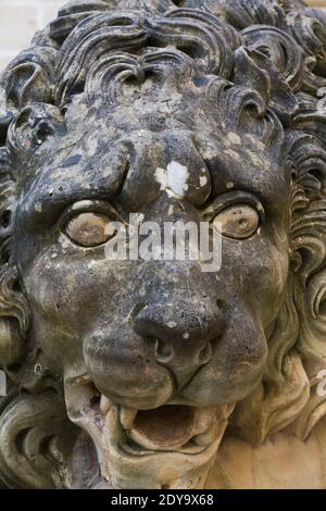 Gros plan d'un lion calcaire sculpté, jardin du Palais des Grands maîtres, Valette, Malte Banque D'Images