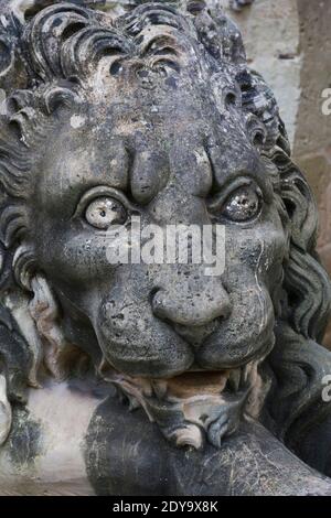 Gros plan d'un lion calcaire sculpté, jardin du Palais des Grands maîtres, Valette, Malte Banque D'Images