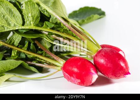 'Cherry Belle' Radish, Rädisa (Raphanus sativus) Banque D'Images