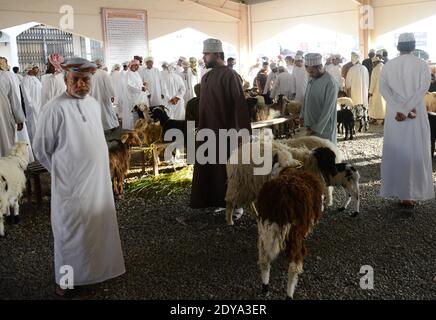 Le marché dynamique du bétail du jeudi à Sinaw, Oman. Banque D'Images