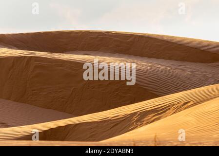 Immenses dunes du désert. Belles structures de barkhan ou de dunes de sable. Vagues par le vent sur la surface de sable. Banque D'Images