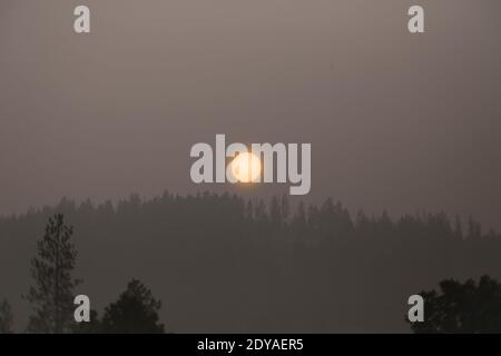 9/14/2020 le soleil, un orbe orange, brille à travers la fumée du Callahan et d'autres feux du nord-ouest, à l'ouest de Troy, Montana Banque D'Images