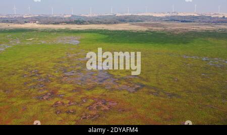 La vue magnifique du plus grand lac d'eau douce de Chine, le lac Poyang, où de grandes prairies poussent et où des oiseaux migrateurs volent est photographiée à Wuchen Banque D'Images