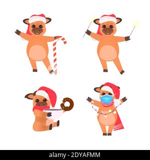 mettez des petits boeufs dans des chapeaux de père noël célébrant la bonne année adorable vaches mascotte dessin animé collection caractères pleine longueur illustration vectorielle Illustration de Vecteur