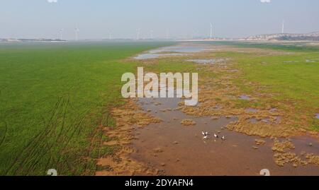 La vue magnifique du plus grand lac d'eau douce de Chine, le lac Poyang, où de grandes prairies poussent et où des oiseaux migrateurs volent est photographiée à Wuchen Banque D'Images