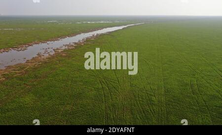 La vue magnifique du plus grand lac d'eau douce de Chine, le lac Poyang, où de grandes prairies poussent et où des oiseaux migrateurs volent est photographiée à Wuchen Banque D'Images