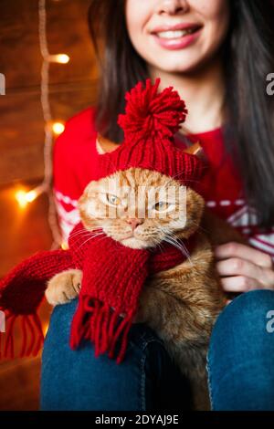 S'amuser avec un animal de compagnie de chat à la maison. Joyeux Noël et concept du nouvel an Banque D'Images