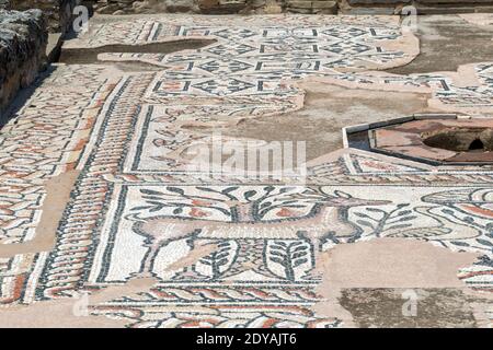 Eglise chrétienne du 4e au 6e siècle ce sur les vestiges d'une Synagogue juive du 2e au 3e siècle, Stobi, ruines archéologiques de la ville romaine, Macédoine, (FYROM Banque D'Images