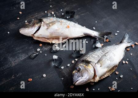 dorada fraîche et crue avec sel et glace sur fond sombre Banque D'Images